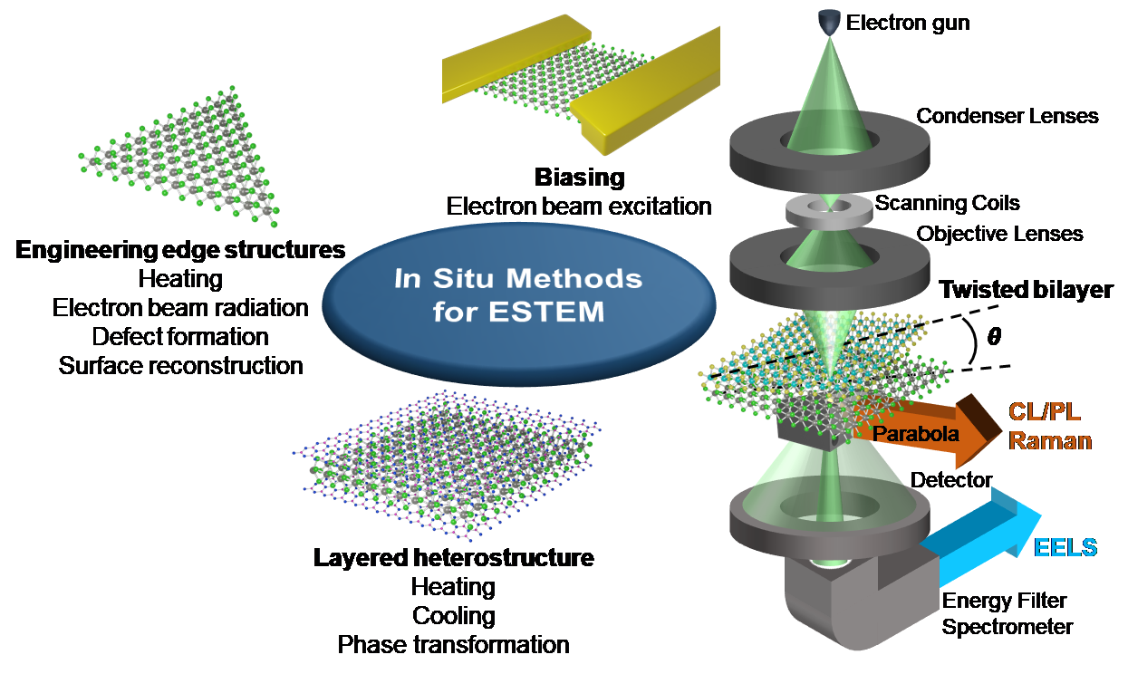 A Unique Combination Of In Situ Capabilities For ESTEM And Multiscale ...